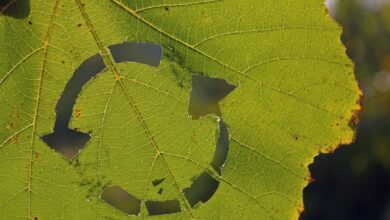 7 Ways Businesses can Join the Circular Economy and Live More Sustainably