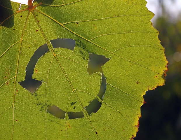 7 Ways Businesses can Join the Circular Economy and Live More Sustainably
