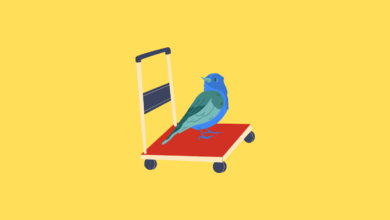 Beware of bird poo: why retail media can learn from previous gold rushes – Dom Winchester