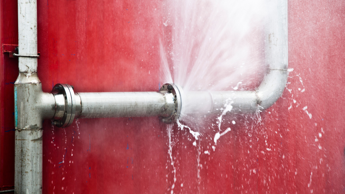 How to transform leads into opportunities: a tale for your sales – Gray Matters